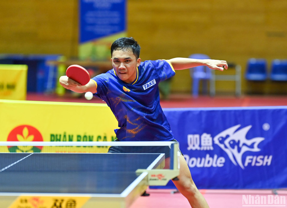 Thành tựu của Anh Hoàng